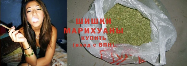 крисы Богданович
