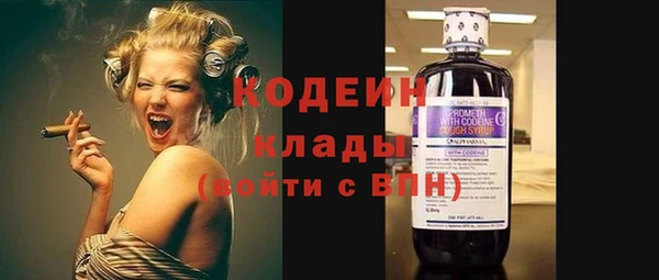 дживик Богородицк