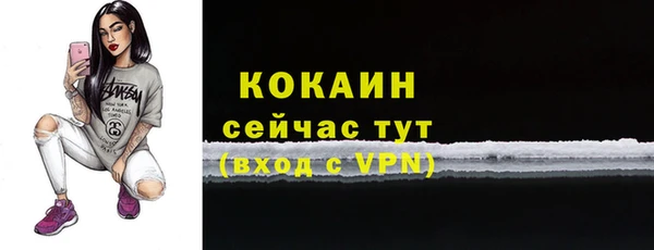 дживик Богородицк