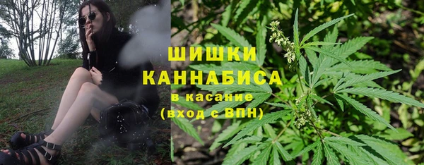 дживик Богородицк