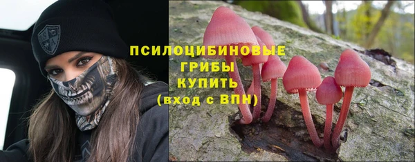 крисы Богданович