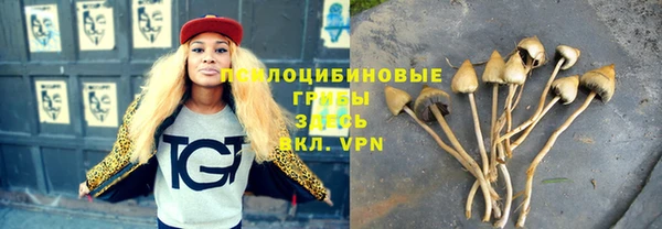 MDMA Богородск