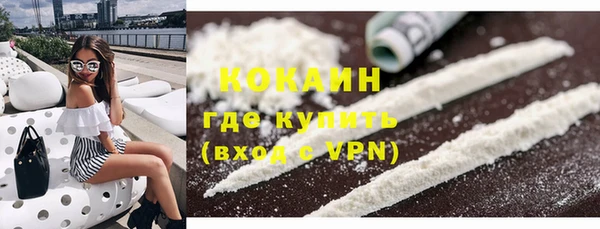 дмт Снежногорск