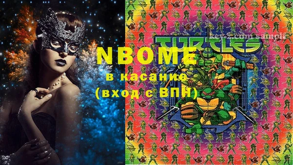 дживик Богородицк