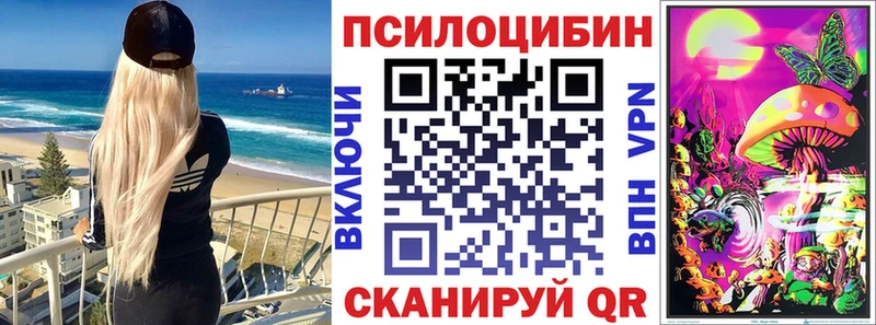 где продают наркотики  Богучар  Галлюциногенные грибы Magic Shrooms 
